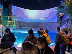 -沈阳海洋探索中心