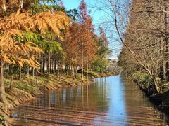 -上海长兴岛郊野公园