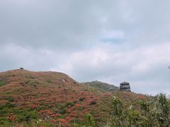 -大围山国家森林公园