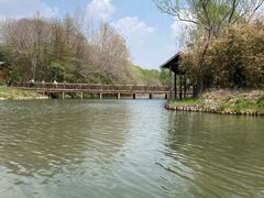 -溱湖国家湿地公园