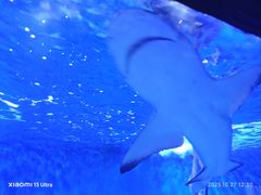 -太平洋海底世界