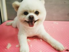 -宠福鑫康馨动物医院·骨科·眼科