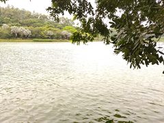 -南国桃园旅游度假区