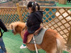 -萌宠亲子动物乐园(槐房万达店)