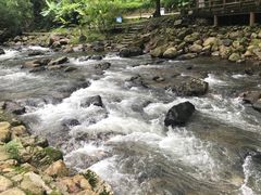 -广州市石门国家森林公园