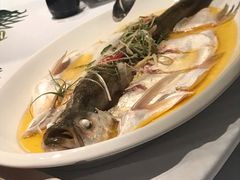 -同庆楼(金宝汇店)