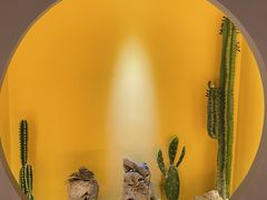 -得闲·高空SPA(东盟店)