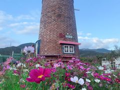 -玫瑰海岸文化旅游度假区