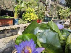 -大水车公馆·顺德菜·妈姐菜(均安店)