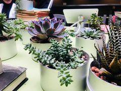 -壹小馆.皇城老妈(成都太古里店)