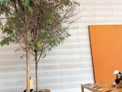-Apple零售店(济南恒隆广场店)