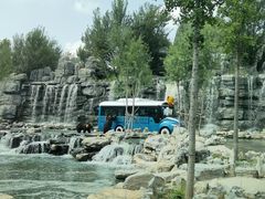 -北京野生动物园