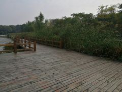 -尚贤河湿地