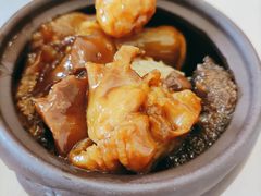 -食神鱼头佛跳墙(百子湾旗舰店)