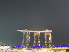 -新加坡文华东方酒店