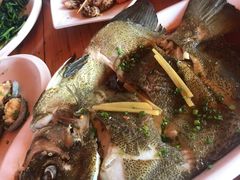 -蓝湾碧波·老字号·疍家非遗海上餐厅