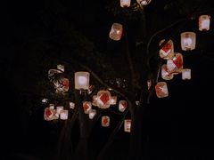 -长田漾湿地公园