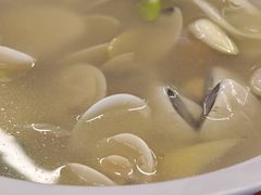白贝汤-大茄来海鲜餐厅(亚洲城分行)