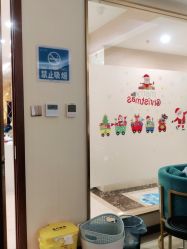 -碧莲盛·不剃发植发