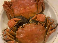 -乡乐园蟹庄·阳澄湖农家乐