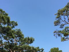 -必敬斋