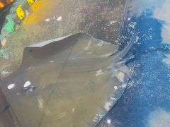 -鸿通城购物中心