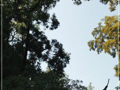 -狼山风景名胜区