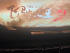 -金逸影城(武汉人信汇IMAX店)