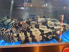 -ONE FULL 古董港式海鲜火锅