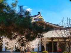 -舍利塔滩地公园-无垢净光舍利塔