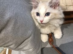 -听TA说宠咖·宠物生活馆(天韵水岸店)