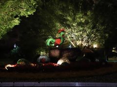 -金鸡山公园