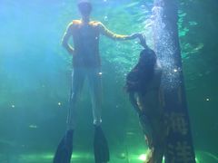 -洛阳龙门海洋馆