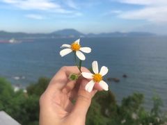 -玫瑰海岸文化旅游度假区