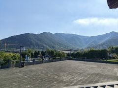 -大唐贡茶院