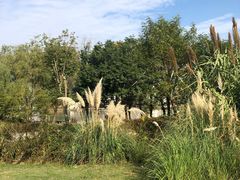 -同里国家湿地公园