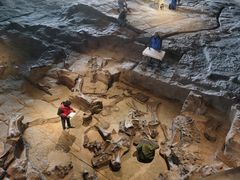 -自贡恐龙博物馆