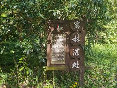 -东平国家森林公园