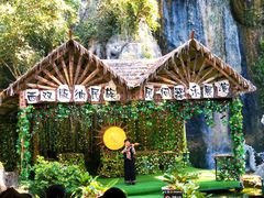 -西双版纳原始森林公园