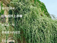 -成都当代影像馆