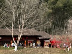 -常德桃花源景区