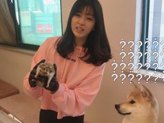 -浣熊柯尔鸭土拨鼠·电玩咖