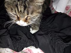 -延成苑韩式烤肉店(长春道店)