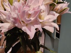 -南堂馆·新川菜(春熙路店)