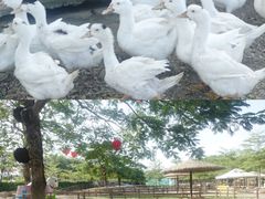 -盈香心动乐园