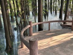 -东湖落雁景区