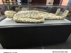 -昆明市博物馆(昆明市文物保护和考古研究中心)