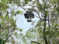 -杭州半山国家森林公园