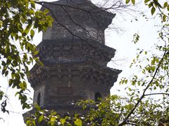 -赭山公园