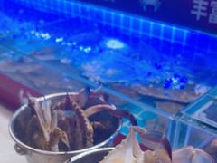 -四囍码头海鲜烧烤自助火锅(外滩南京东路悦荟广场店)